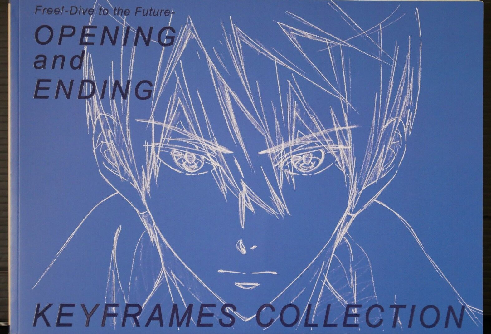 Free - Dive to the Future Opening and Ending Keyframes Collection (Book) JAPAN