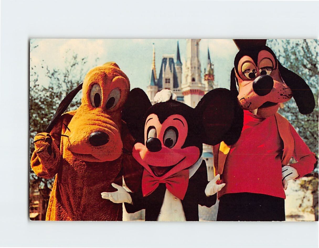 Postcard Welcome To The Magic Kingdom Walt Disney World Bay Lake Florida USA