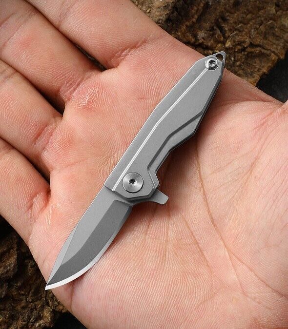 Mini All Steel Pocket Folding Blade Knife Outdoor Camping EDC Keychain Tool