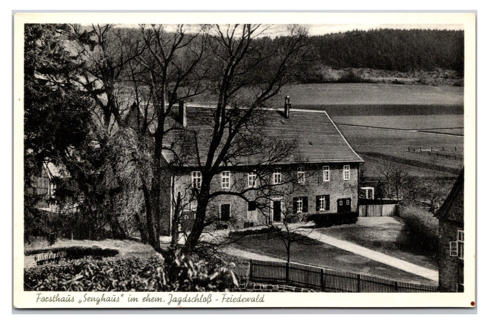 VTG 1920s - Forester's House - Friedewald, Germany Postcard (UnPosted) *RPPC*