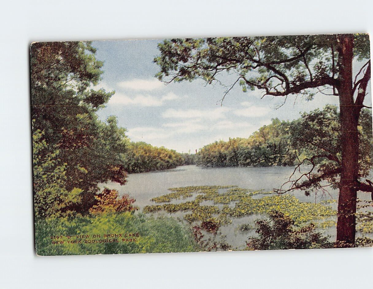Postcard View On Bronx Lake New York Zoological Park Bronx New York USA