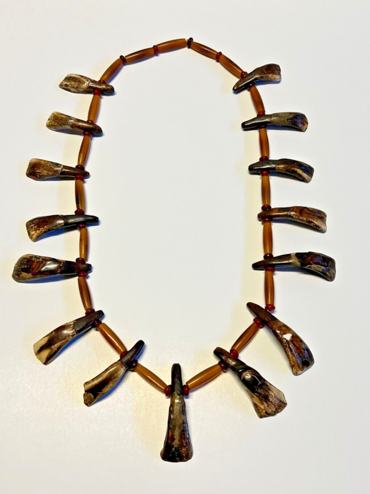 Original Antique Native American Buffalo Teeth Necklace; Late 1890's to 1910