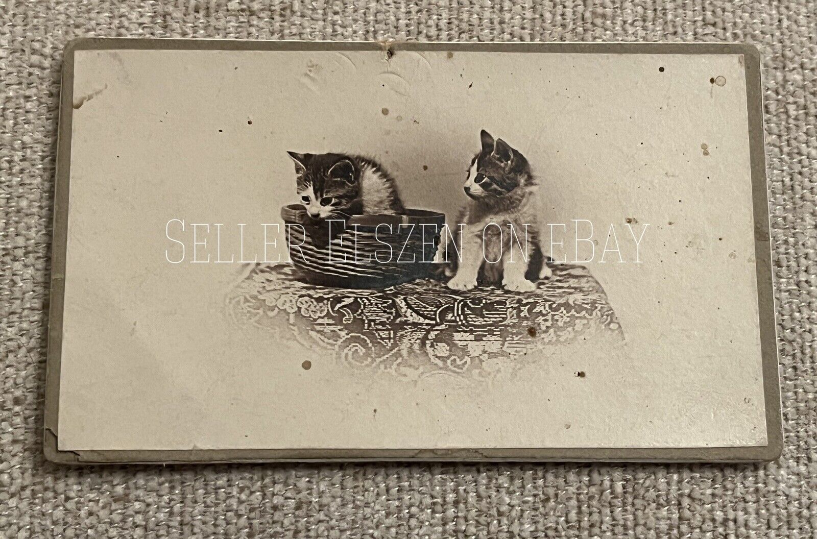 Antique Rare Victorian CDV Photo Of Striped Tabby Kittens Cats Basket