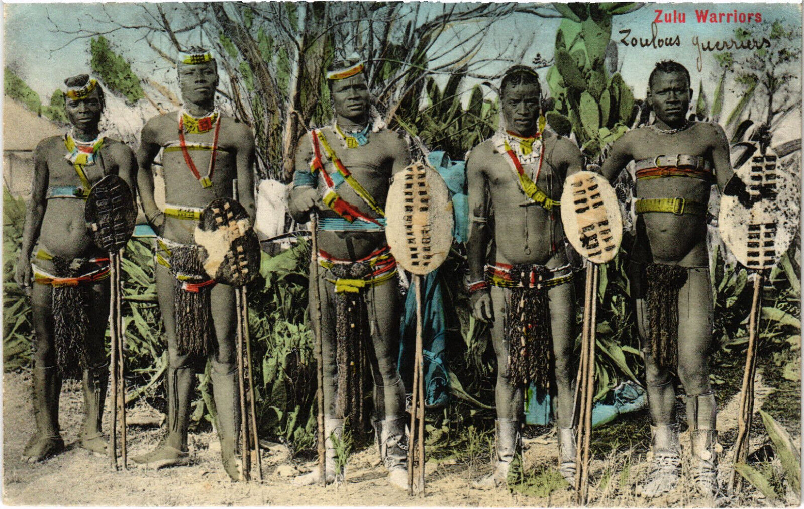 PC AFRICA, SOUTH AFRICA, ZULU WARRIORS, Vintage Postcard (b53102)