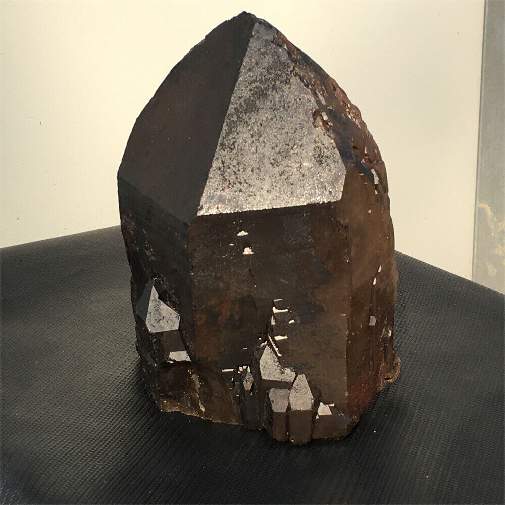 13.2LB Natural smokey quartz rare backbone quartz crystal specimen -c-1