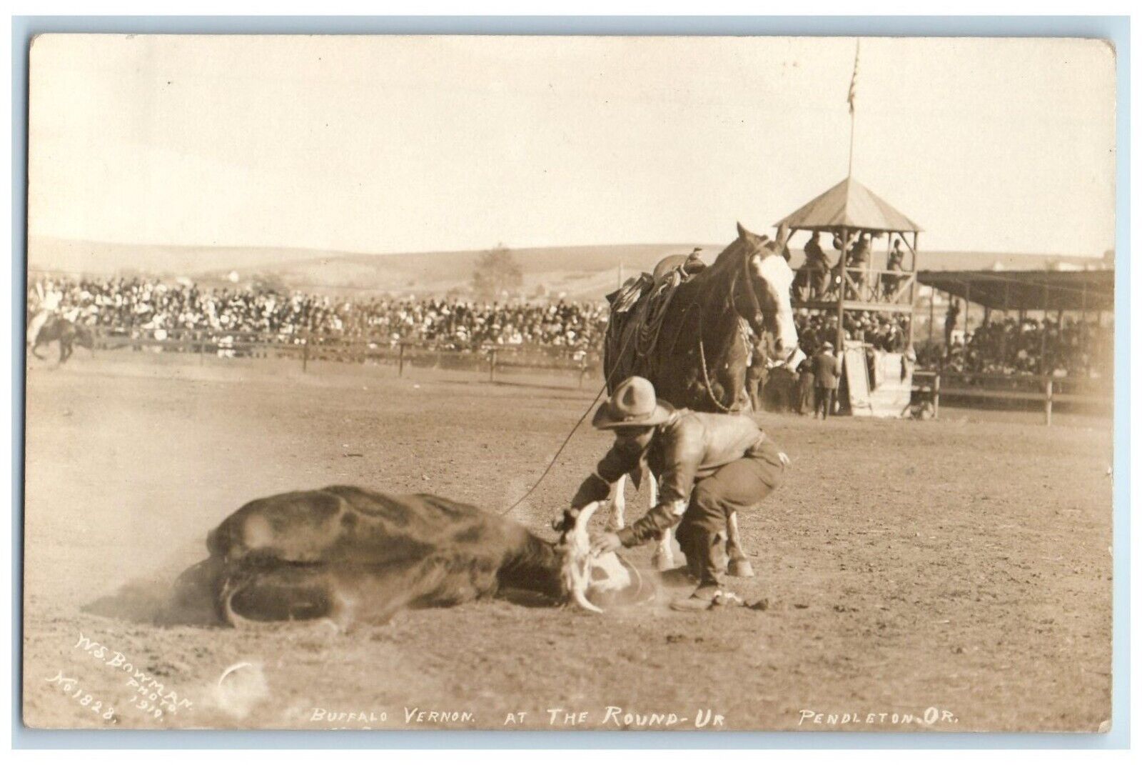 c1910's Buffalo Vernon At The Round Up Pendleton Oregon OR  RPPC Photo Postcard
