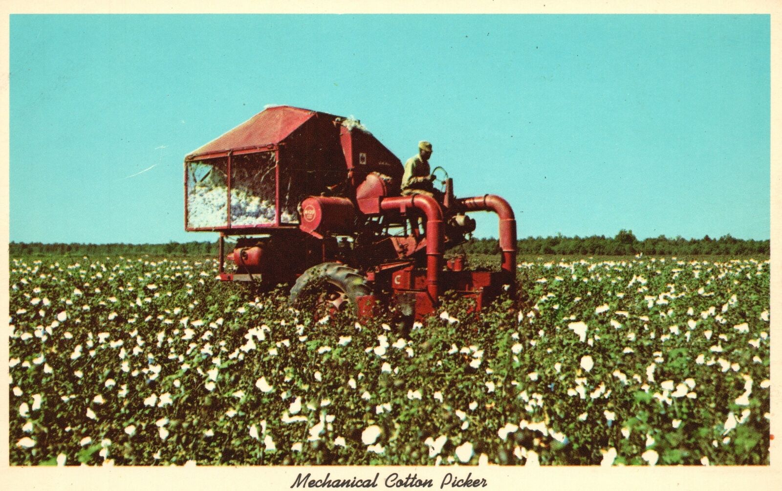Vintage Postcard Mechanical Cotton Picker Modern Machineries In Cotton Picking