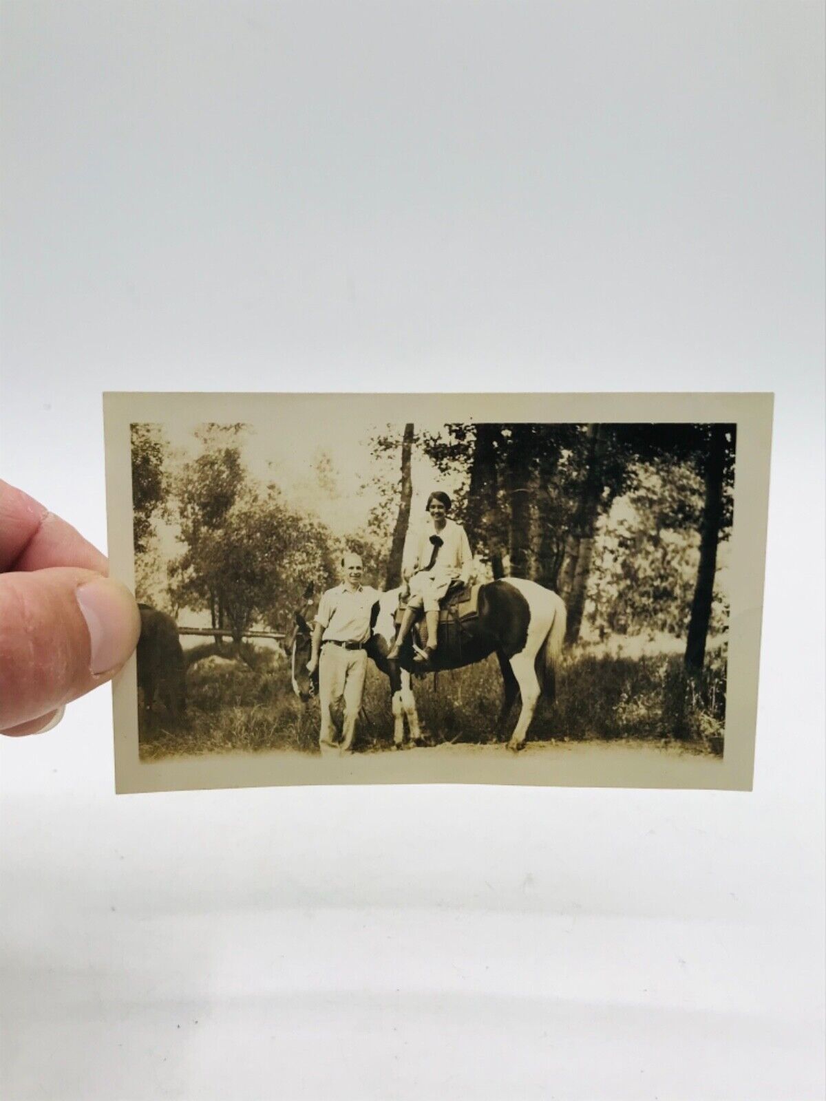 Antique Photo Pacific Northwest Beautiful White Black Horse Women Man