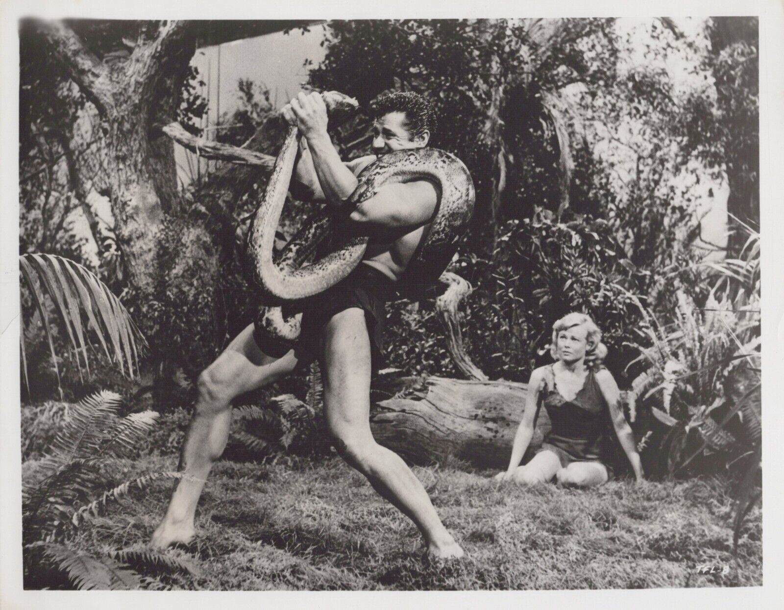 Eve Brent + Gordon Scott in Tarzan's Fight for Life (1958) 🎬⭐ Movie Photo K 157