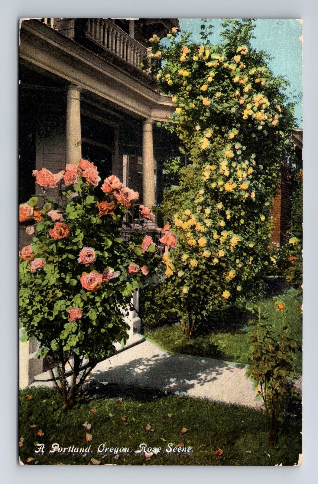 Portland OR-Oregon, Rose Scene At Residence, Antique, Vintage c1909 Postcard