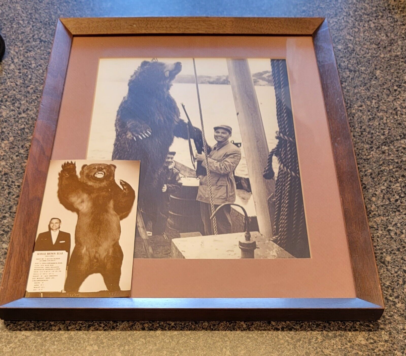 Vintage 1964 KODIAK BROWN BEAR Alaska RECORD Photos