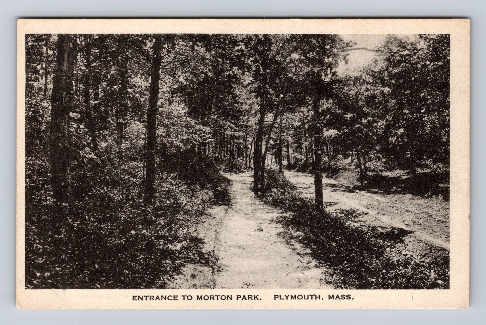 Plymouth MA-Massachusetts, Entrance to Morton Park, Antique Vintage Postcard