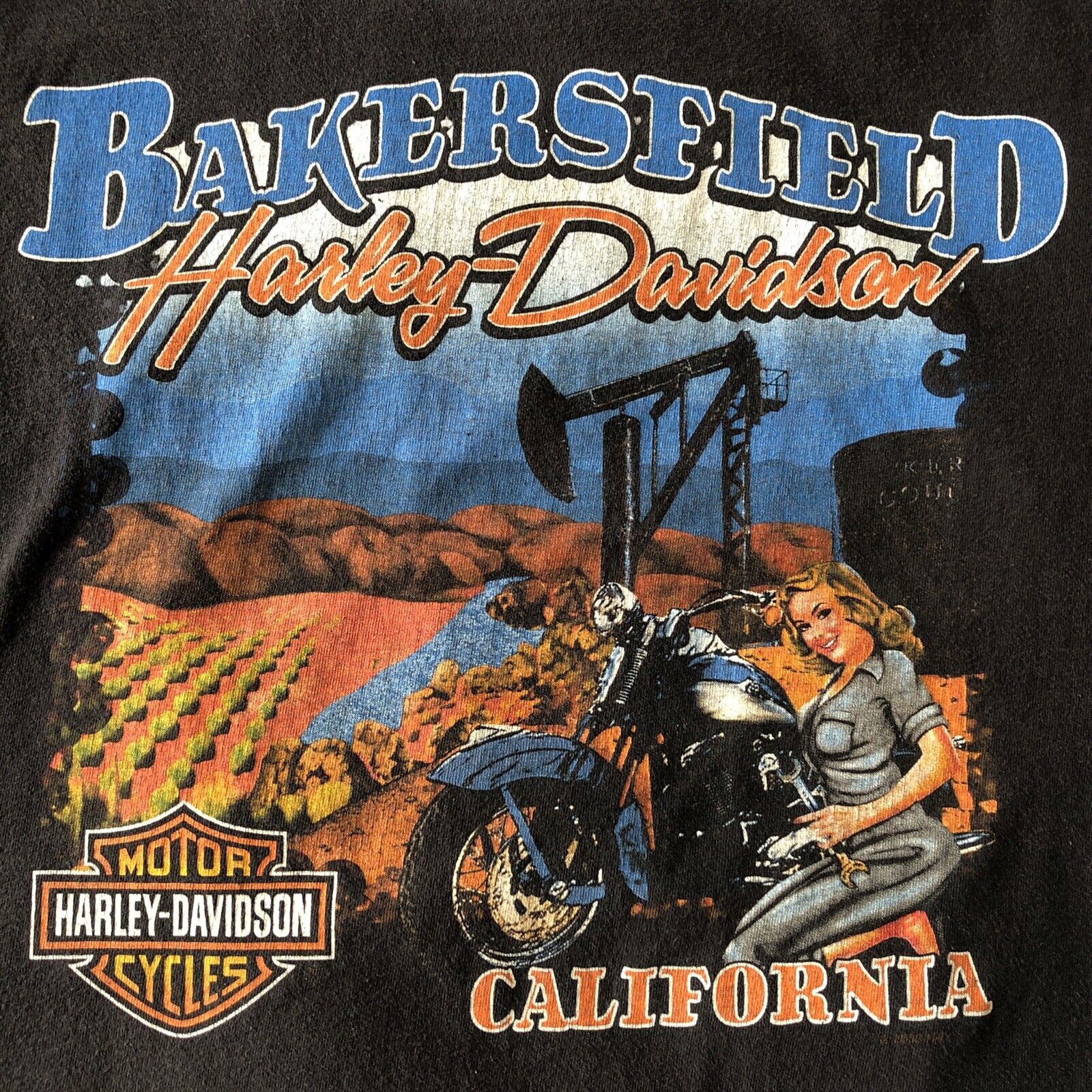 Harley Davidson T-Shirt I Got Mine At Bakersfield Black Vintage Large VGC
