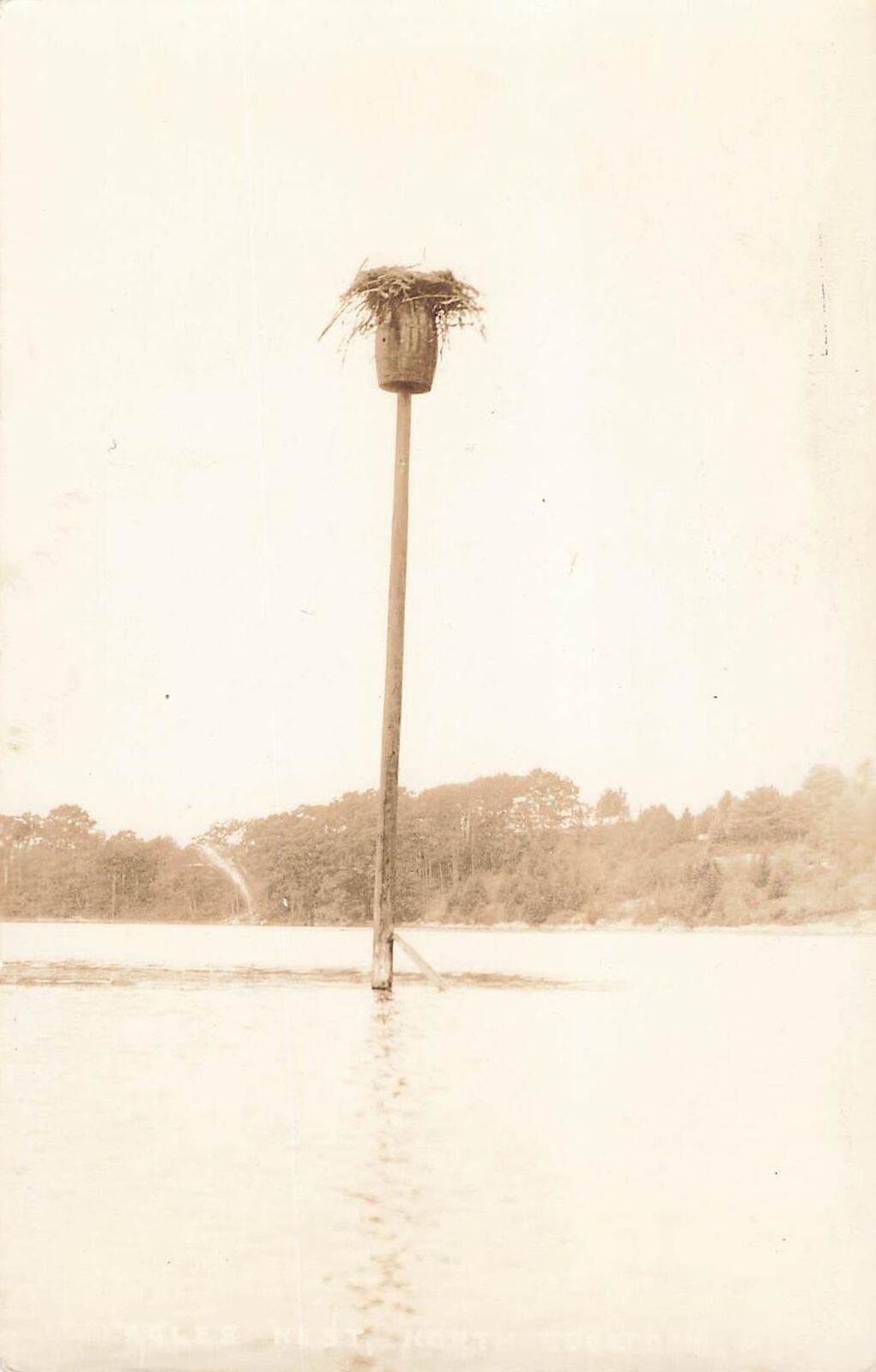 Vintage Postcard EAGLES NEST middle of Lake Belfast Maine Real Photo