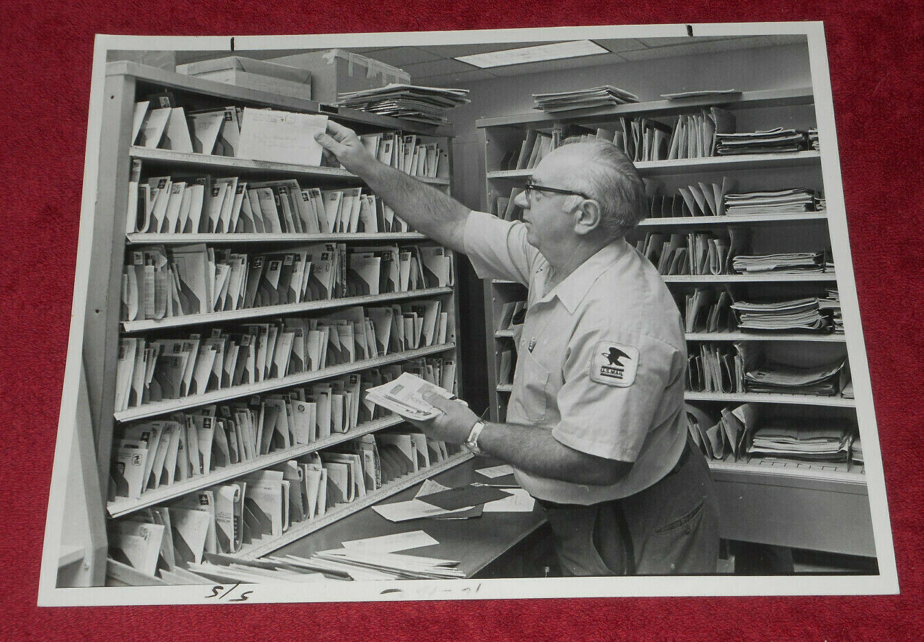 1979 Press Photo Postman James Driscoll Sorts Mail Crystal River Post Office FL