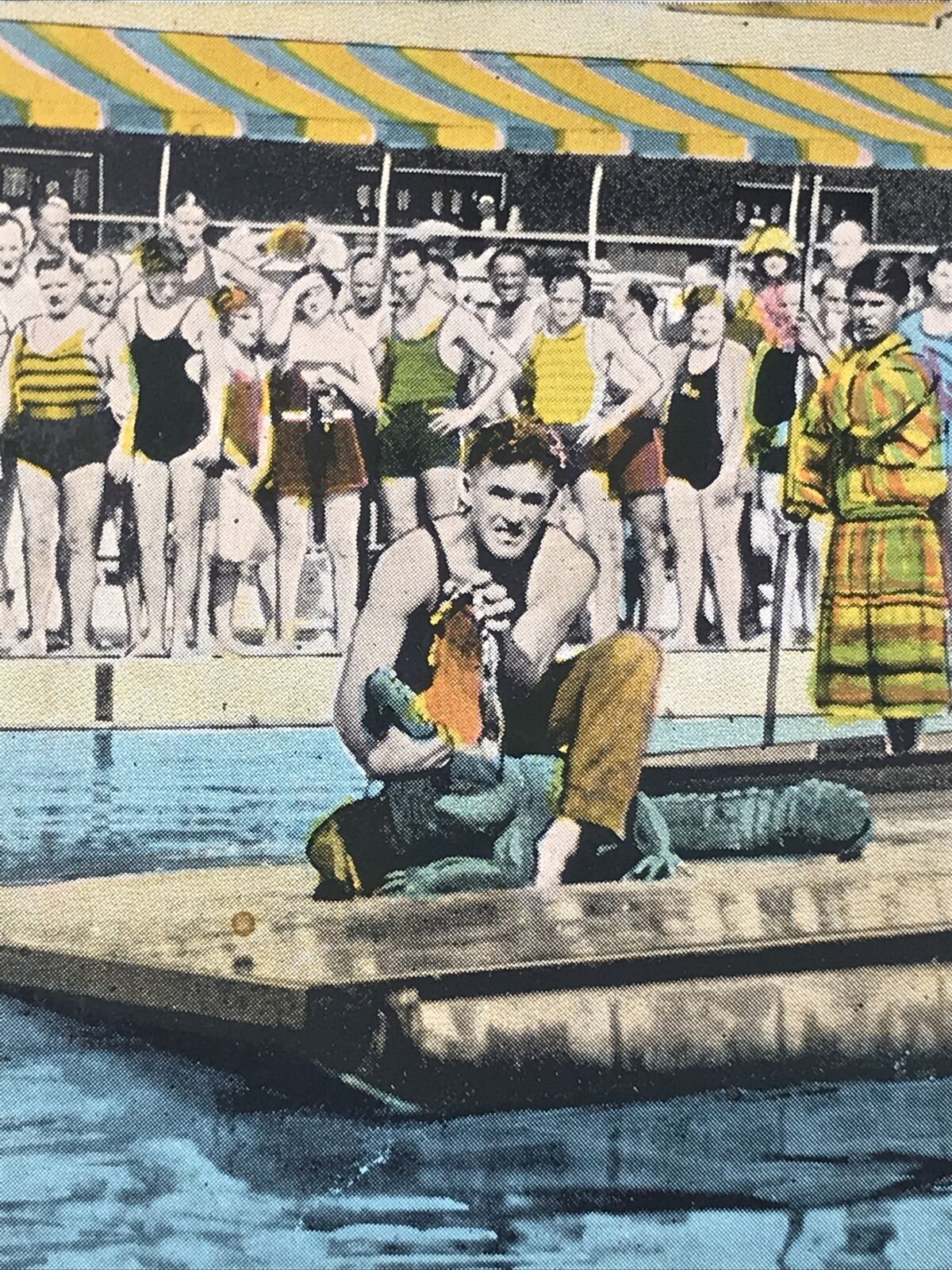 Antique 1933 Alligator Wrestling in Roman Pools Miami Beach FL Florida Postcard