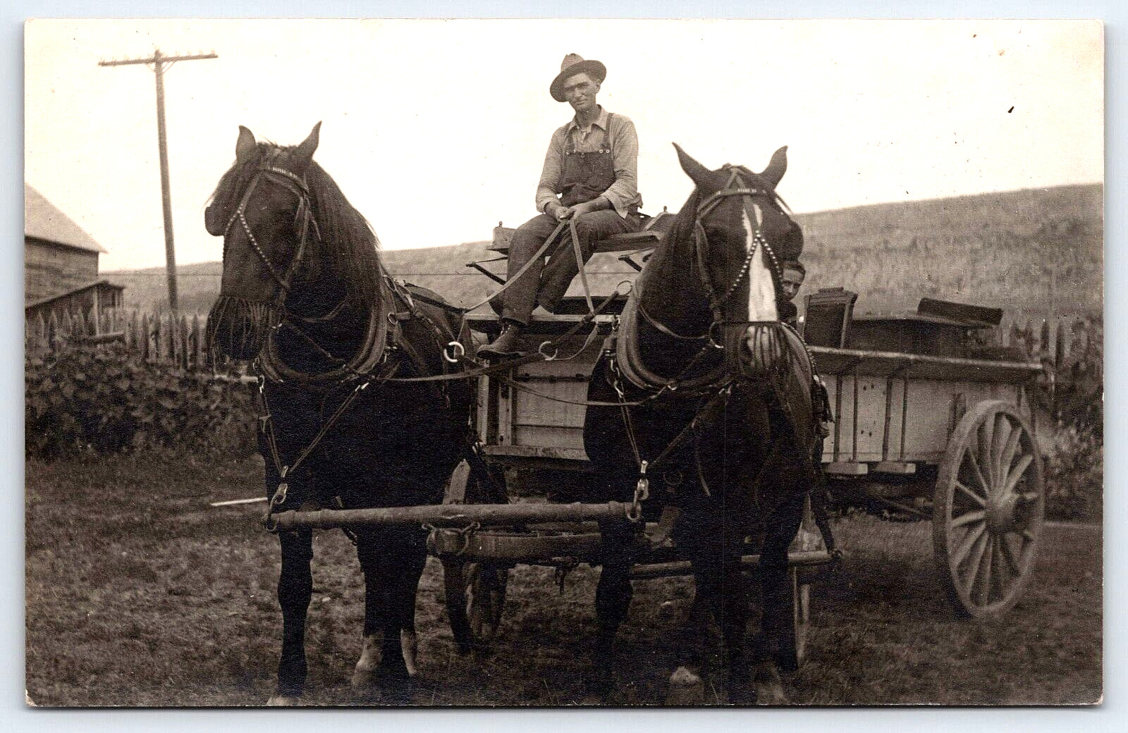 Postcard RPPC Farmer Two Draft Horse Hitch Wagon c1915 A11