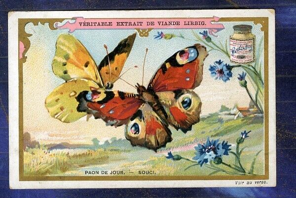 CHROMO LIEBIG S519 DAY PEACOCK BUTTERFLY WORRY BUTTERFLY 1894 Peacock trade card