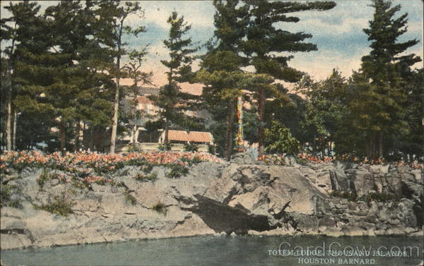 Toten Lodge,Thousand Islands,NY New York C.T. Photochrom Antique Postcard