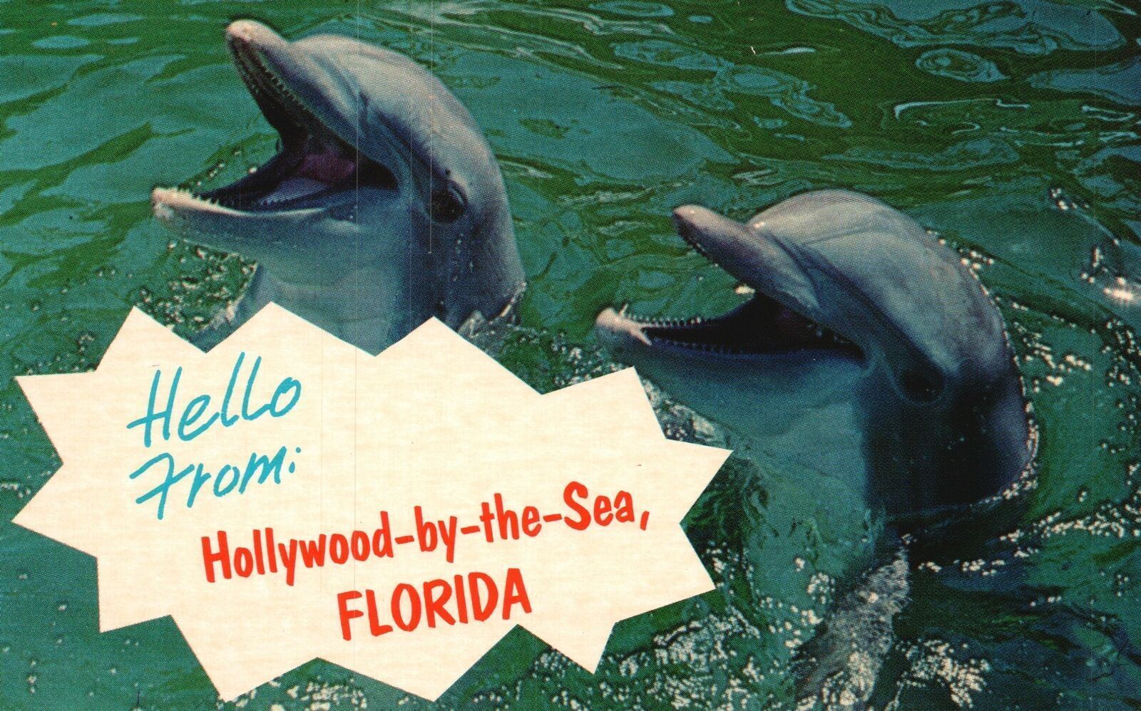 Vintage Postcard Smiling Porpoise From Hollywood-By-The-Sea Florida Dukane Press