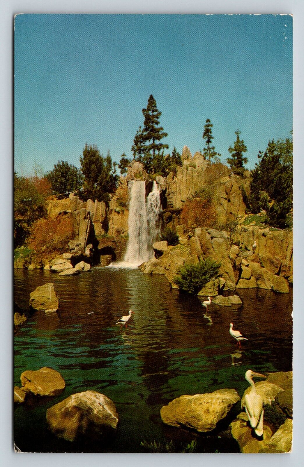 Busch Gardens Panoramic Waterfall LOS ANGELES CA Vintage Postcard 0708