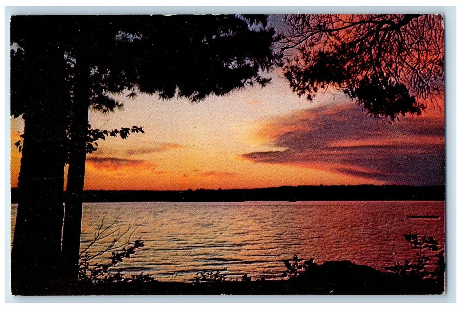 1964 Greetings From Maple Island Sunset Beach Trees Ontario Canada CA Postcard