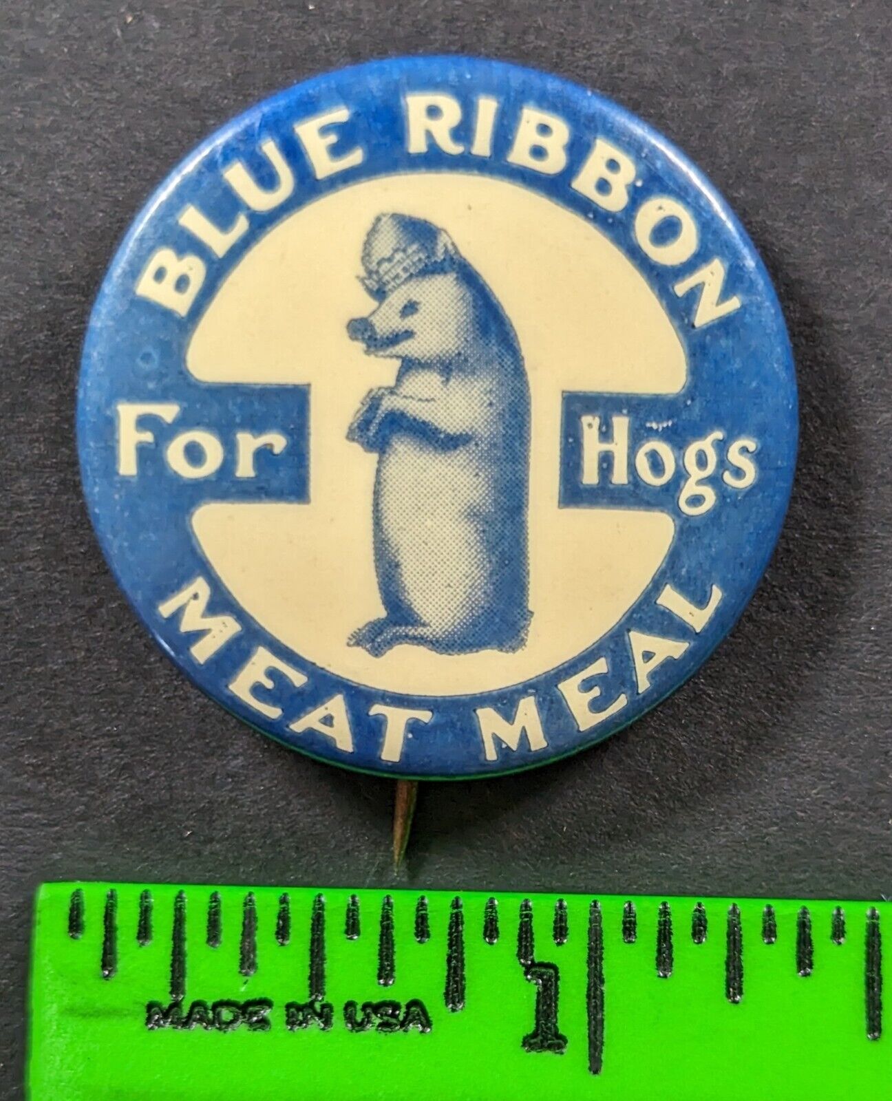 Vintage 1910s Blue Ribbon Meat Meal For Hogs Pinback Pin