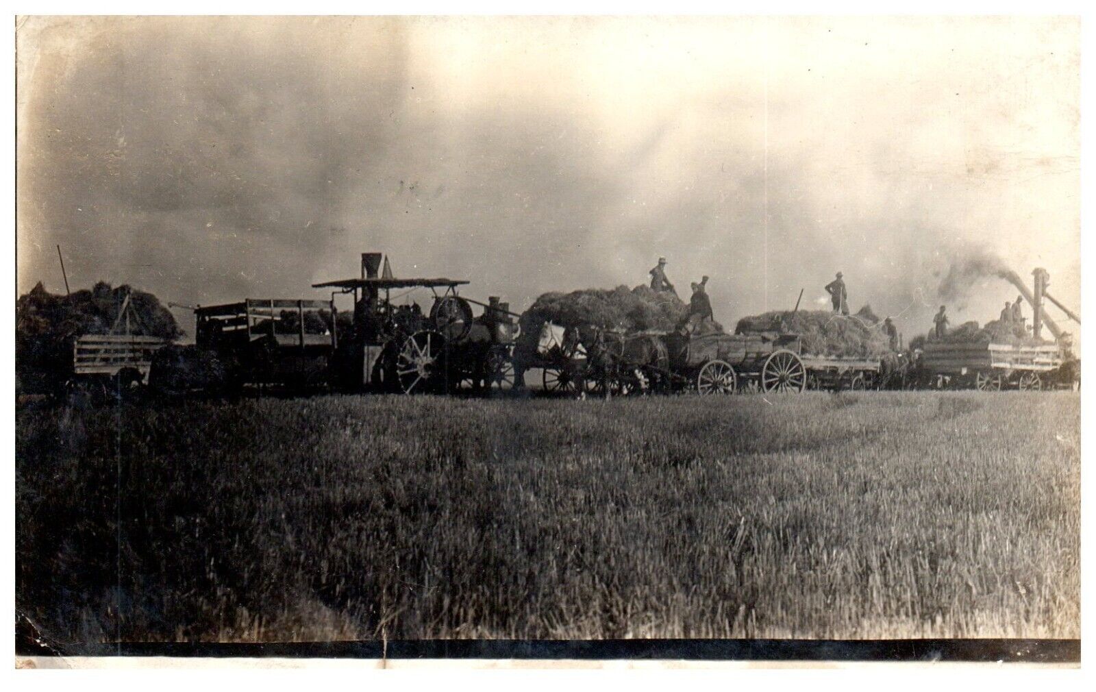 RPPC Stream Tractor Harvesting Hay Grain Horse Wagon Train Postcard c. 1910