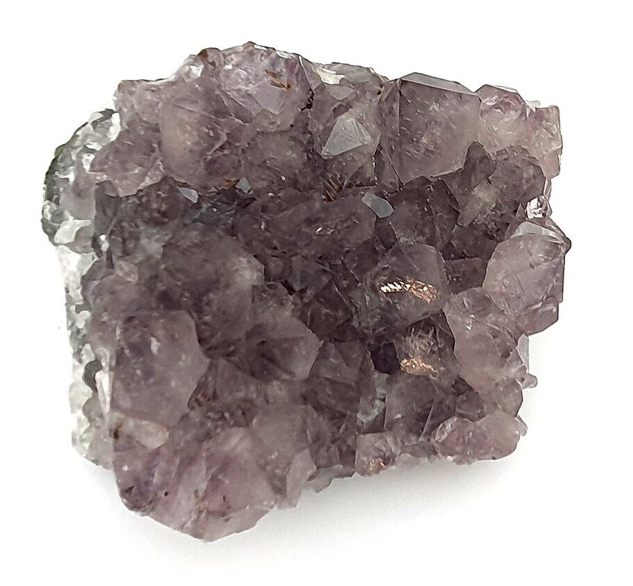 Amethyst Cluster Bed Geode Piece - 857 Grams - 115mm - AMB2202