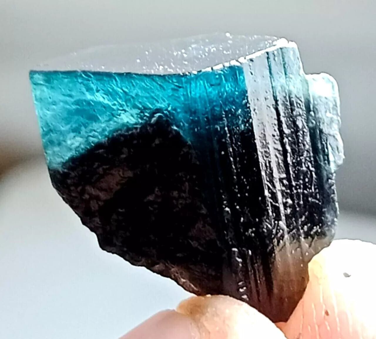 11 Carat Beautiful Indicolite TOURMALINE Crystal mineral specimen @ Afghanistan