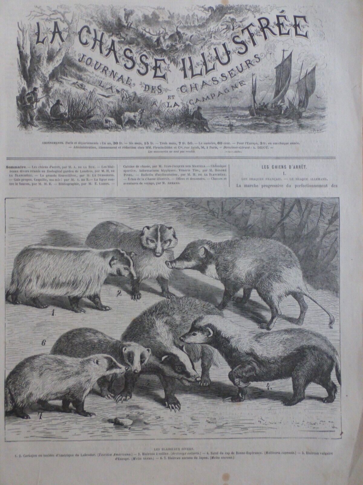 1871 1877 BADGERS 8 ANTIQUE NEWSPAPERS