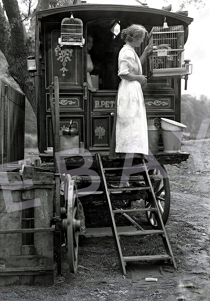 Vintage Old 1910's Photo reprint of American Gypsy Living in Caravan Bird Cages