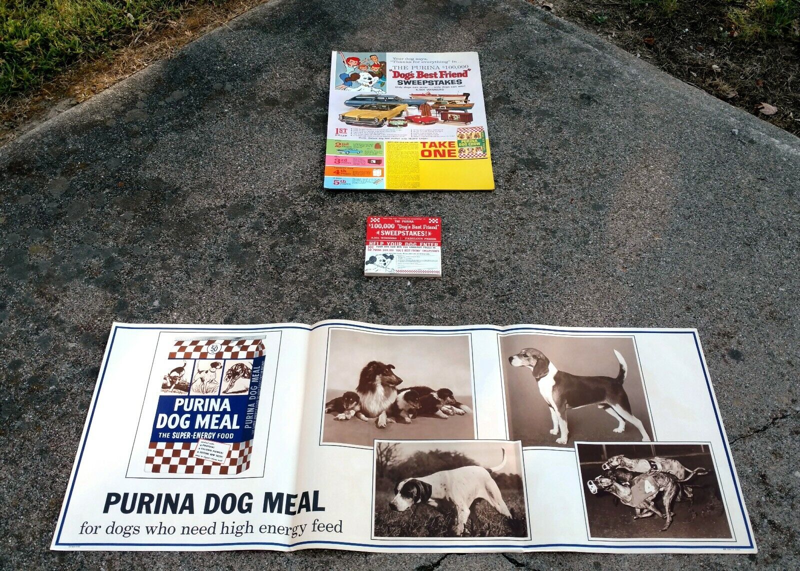Vtg 1960's Purina Dog Chow Dog's Best Friend Sweepstakes Cardboard Display NOS