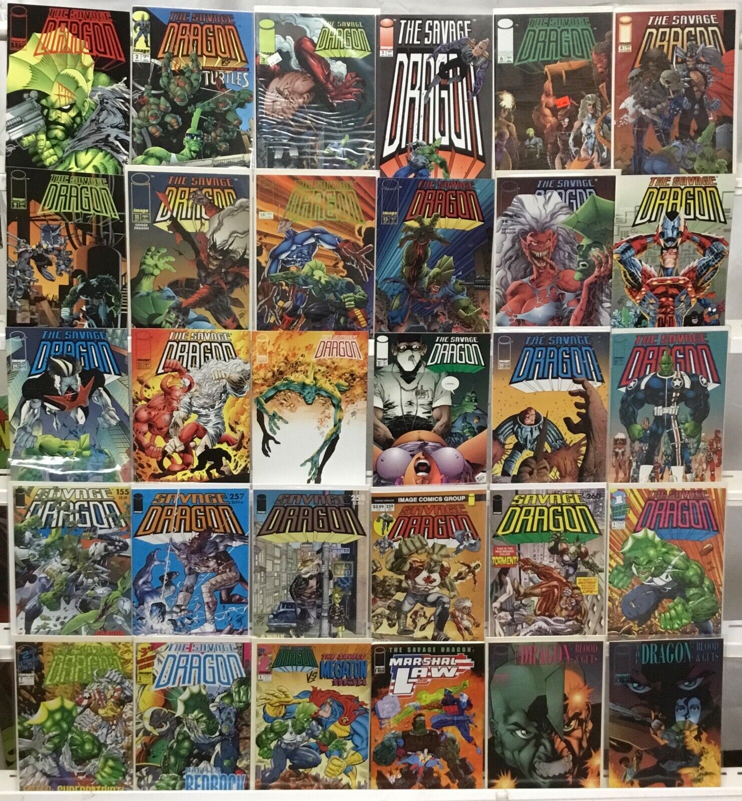 Image Comics The Savage Dragon Comic Book Lot of 30 Issues