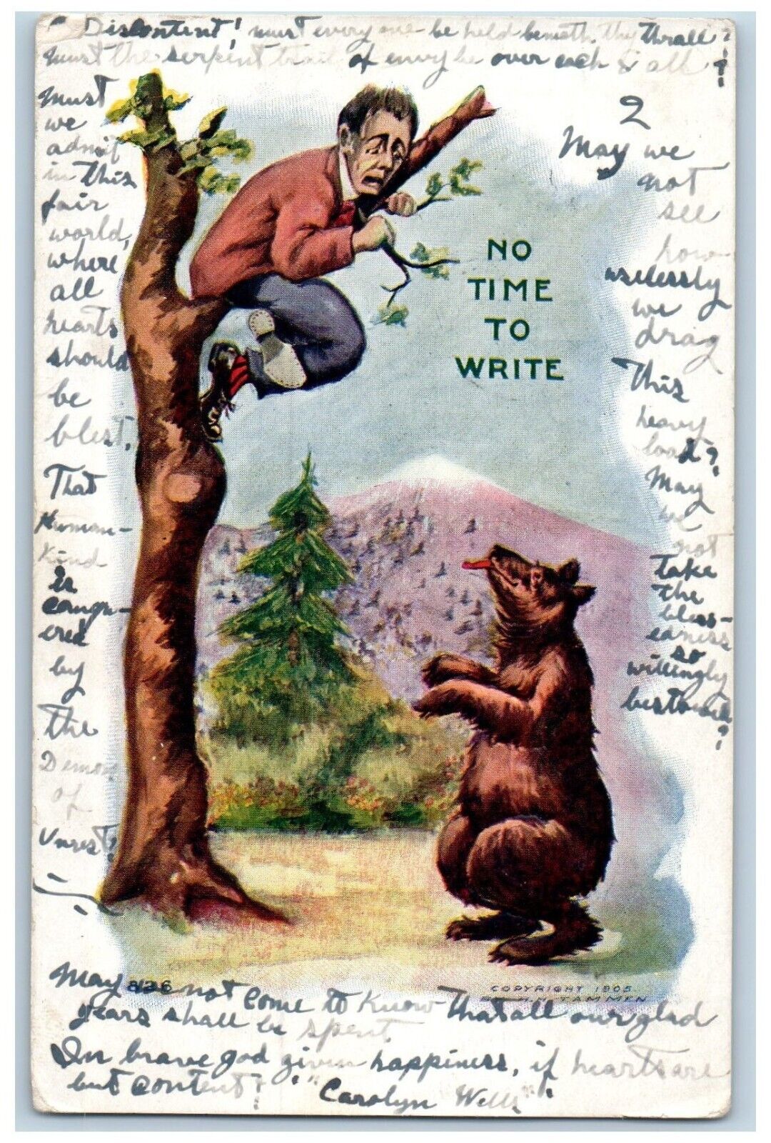 Roswell NM Postcard Man On Top Of Tree Chasing Bear Embossed c1905 Antique