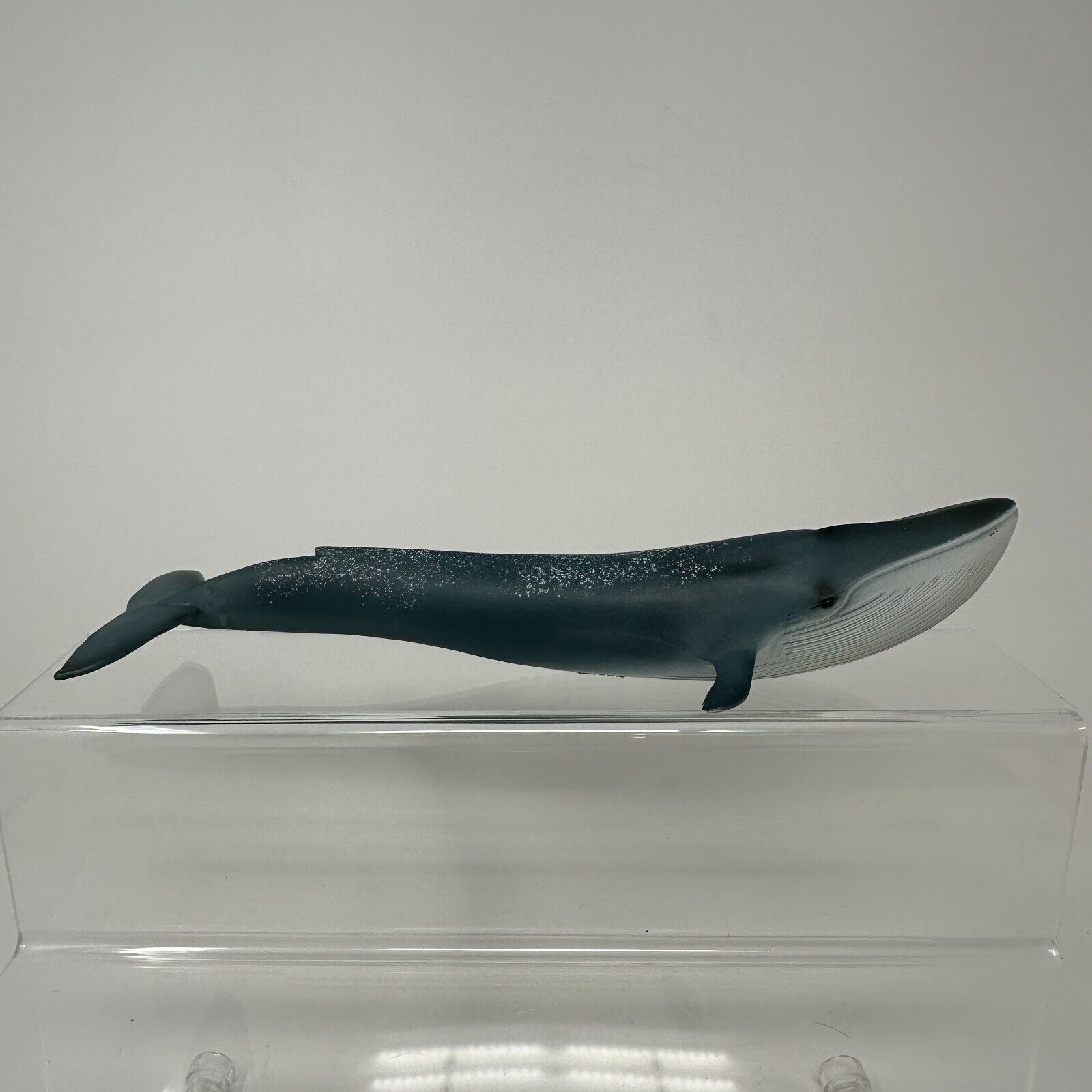 Schleich Blue Whale Ocean Sea Life Figure 2017