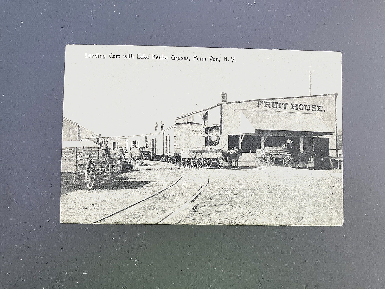Early 1900s postcard Penn Yan, NY Loading Cars Train Grape Lake Keuka photo Wise