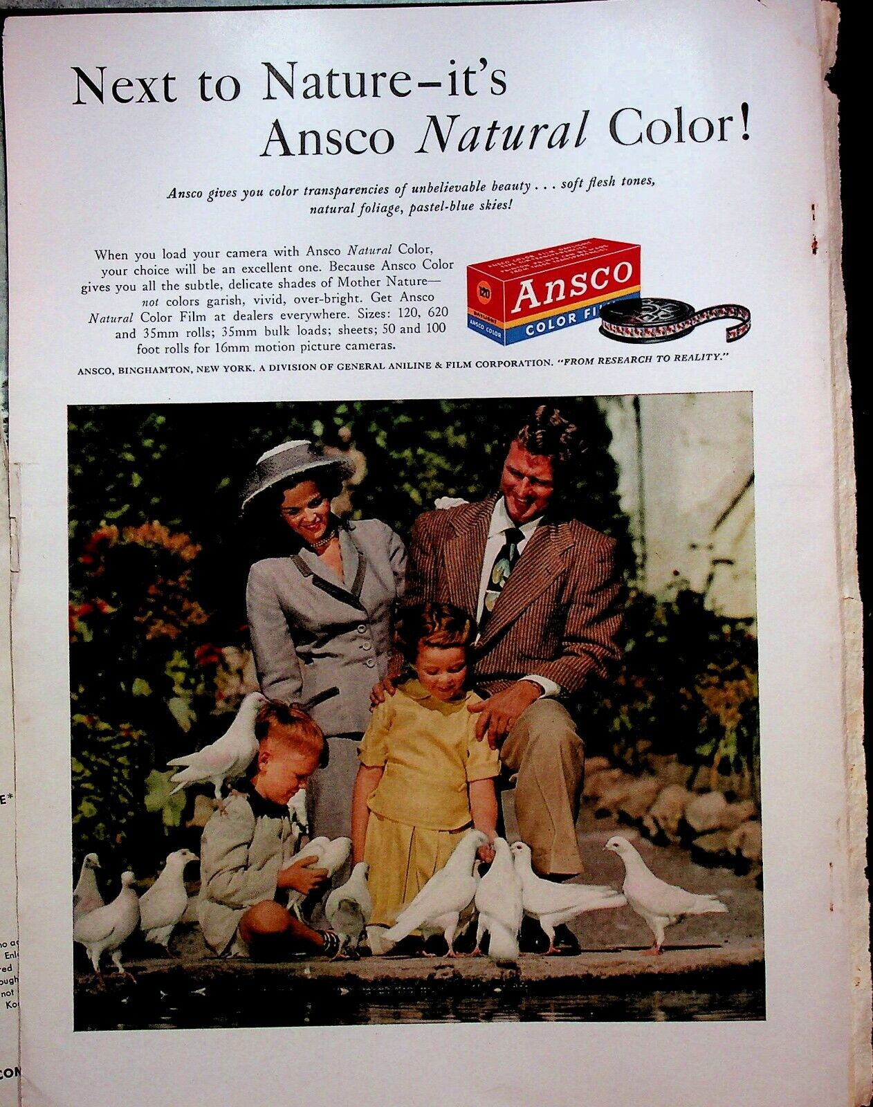 1953 Ansco Color Print Film Magazine Print Ad Family Park white Pigeons