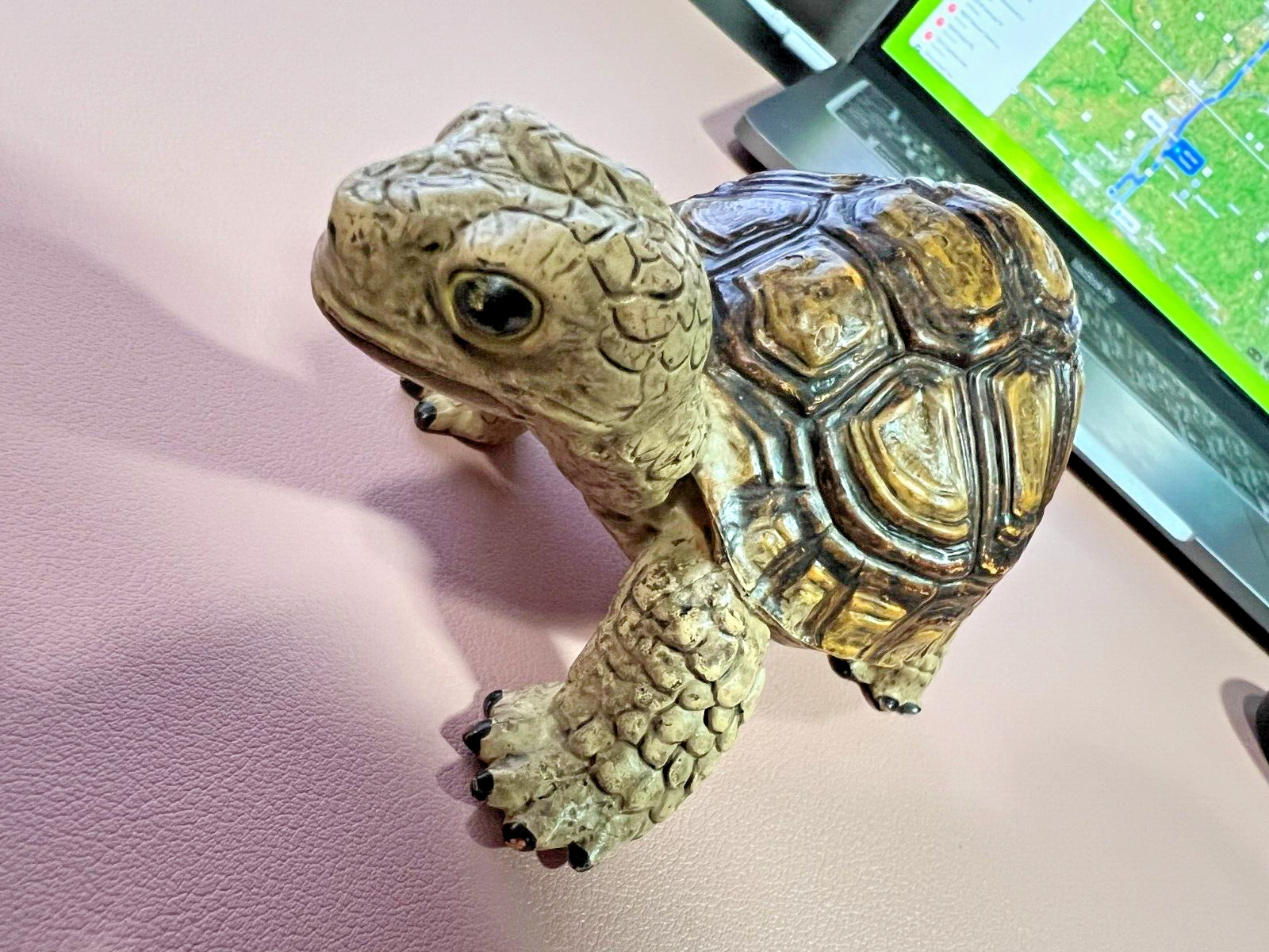 1997 Safari Ltd. Tortoise Figurine Toy Realistic