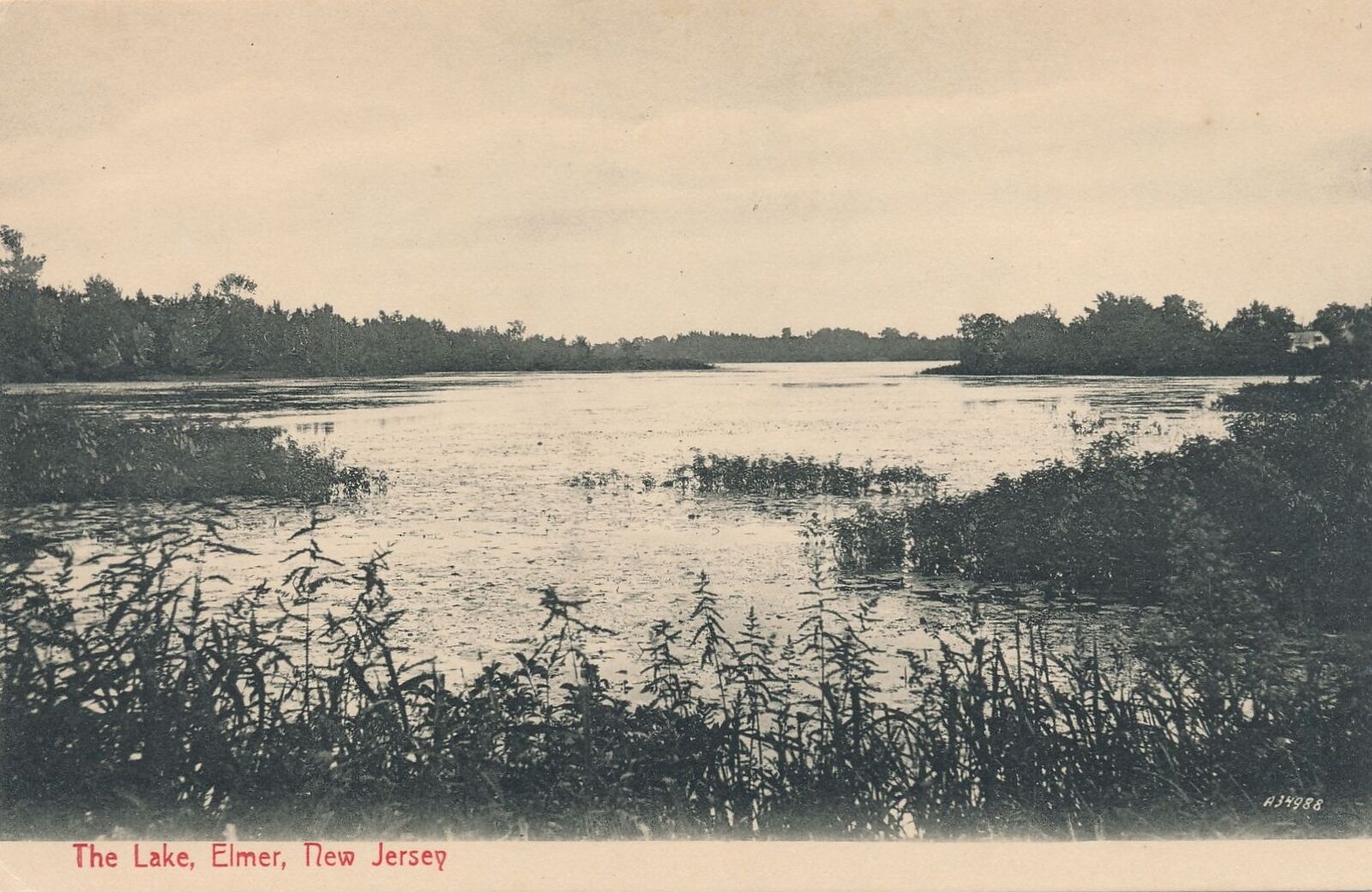 ELMER NJ - The Lake Postcard - udb (pre 1908)