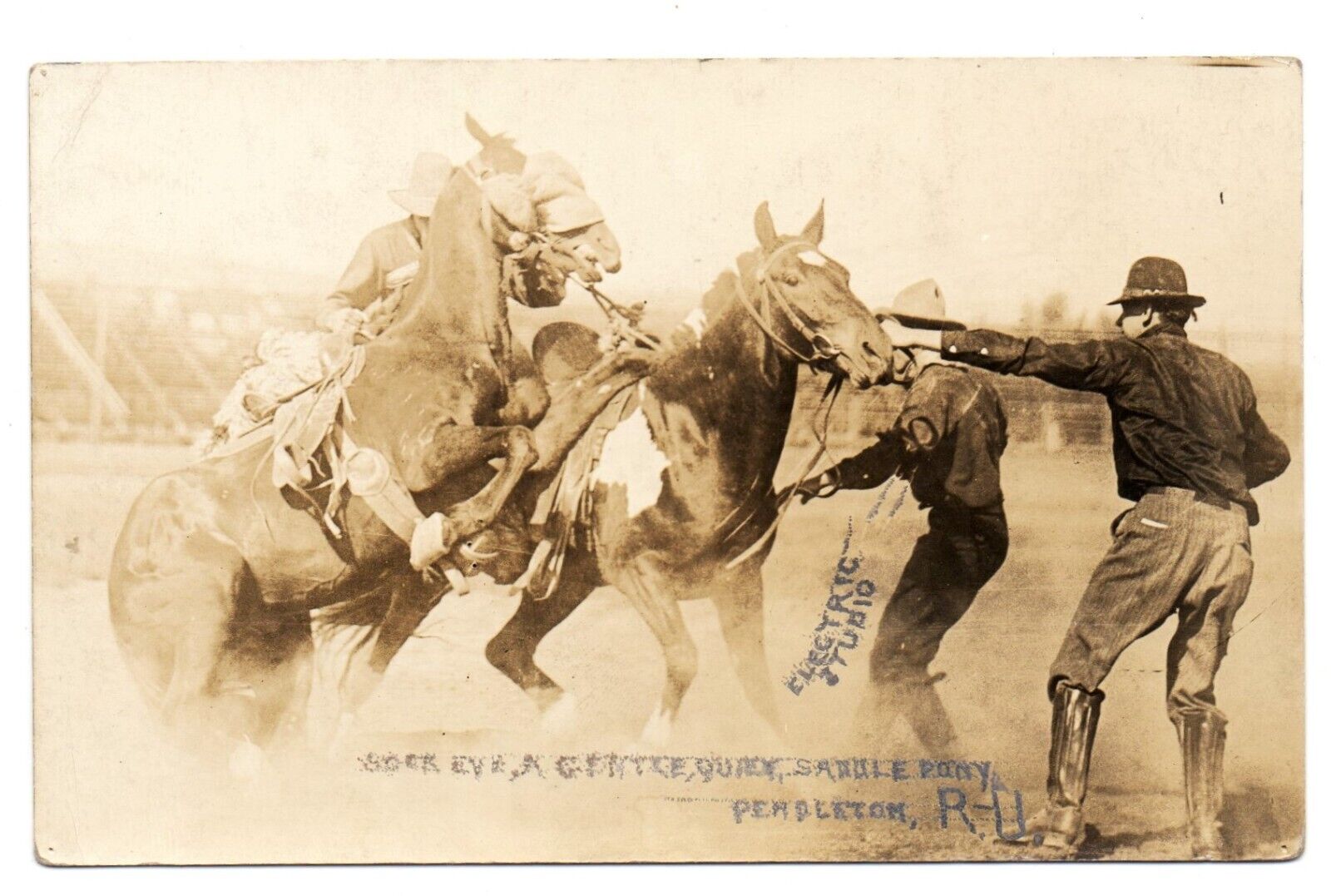 RPPC postcard PENDLETON ROUND-UP cowboy rodeo action SOCK-EYE SADDLE PONY 1910s