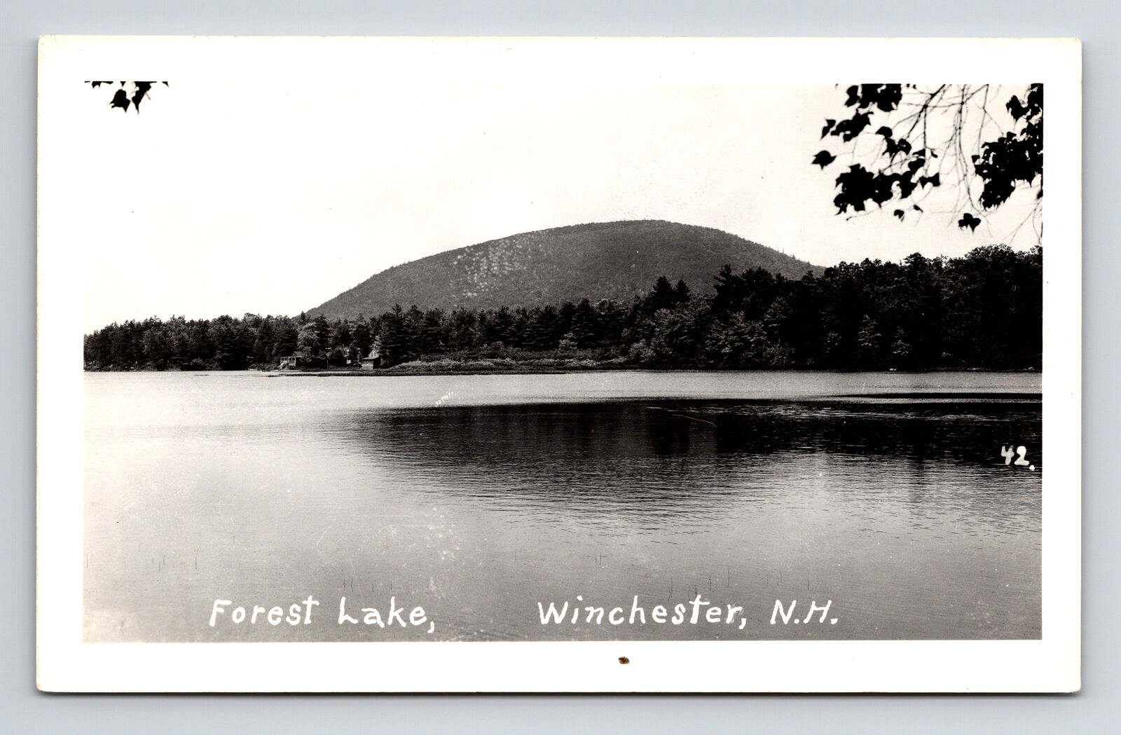 RPPC Scenic View of Forest Lake Winchester NH Real Photo Postcard