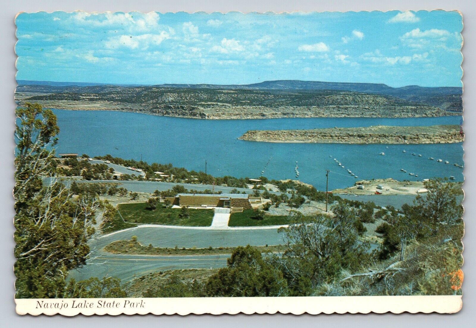 Navajo Lake State Park Farmington New Mexico 4x6 Postcard 1590