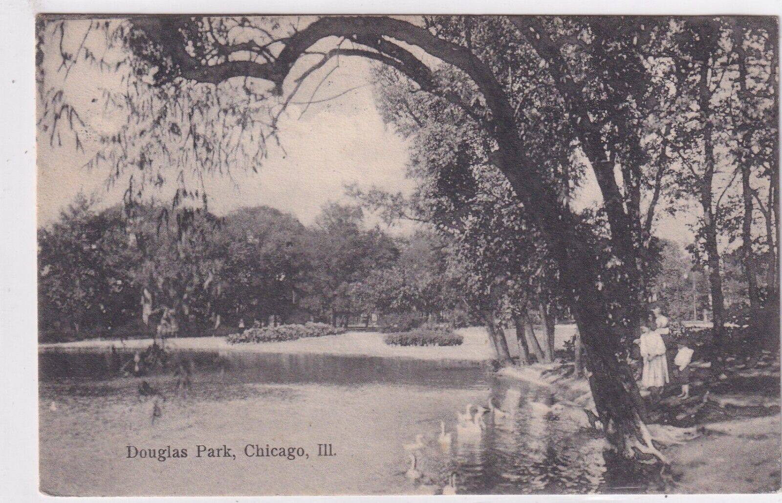 1907 Vtg Postcard 1908 Douglas Park Chicago Postcard