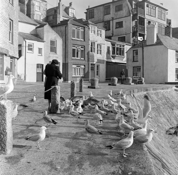 General View Of The Wharf St Ives Cornwall 1954 OLD PHOTO