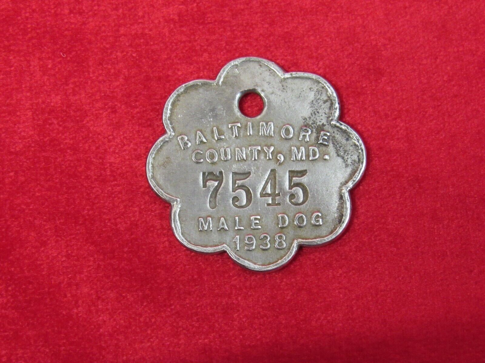 Vintage 1938 Male Dog Tag # 7545 Baltimore County MD.