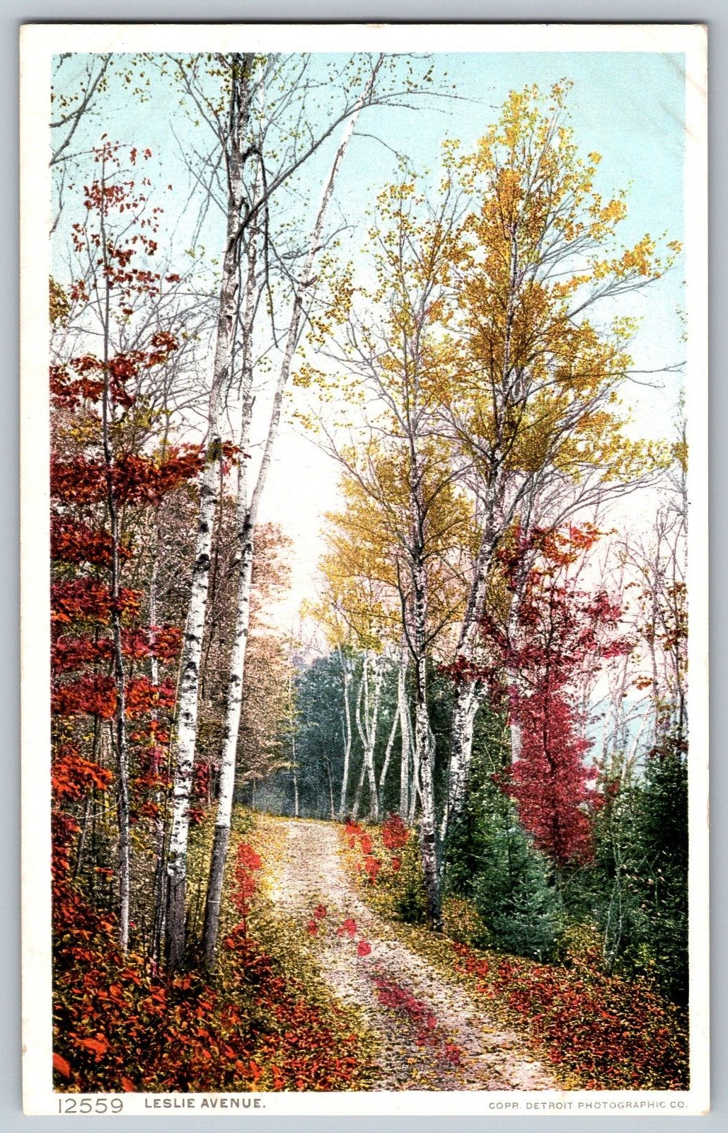 Detroit, Michigan MI - Leslie Avenue - Trees and Roads - Vintage Postcard