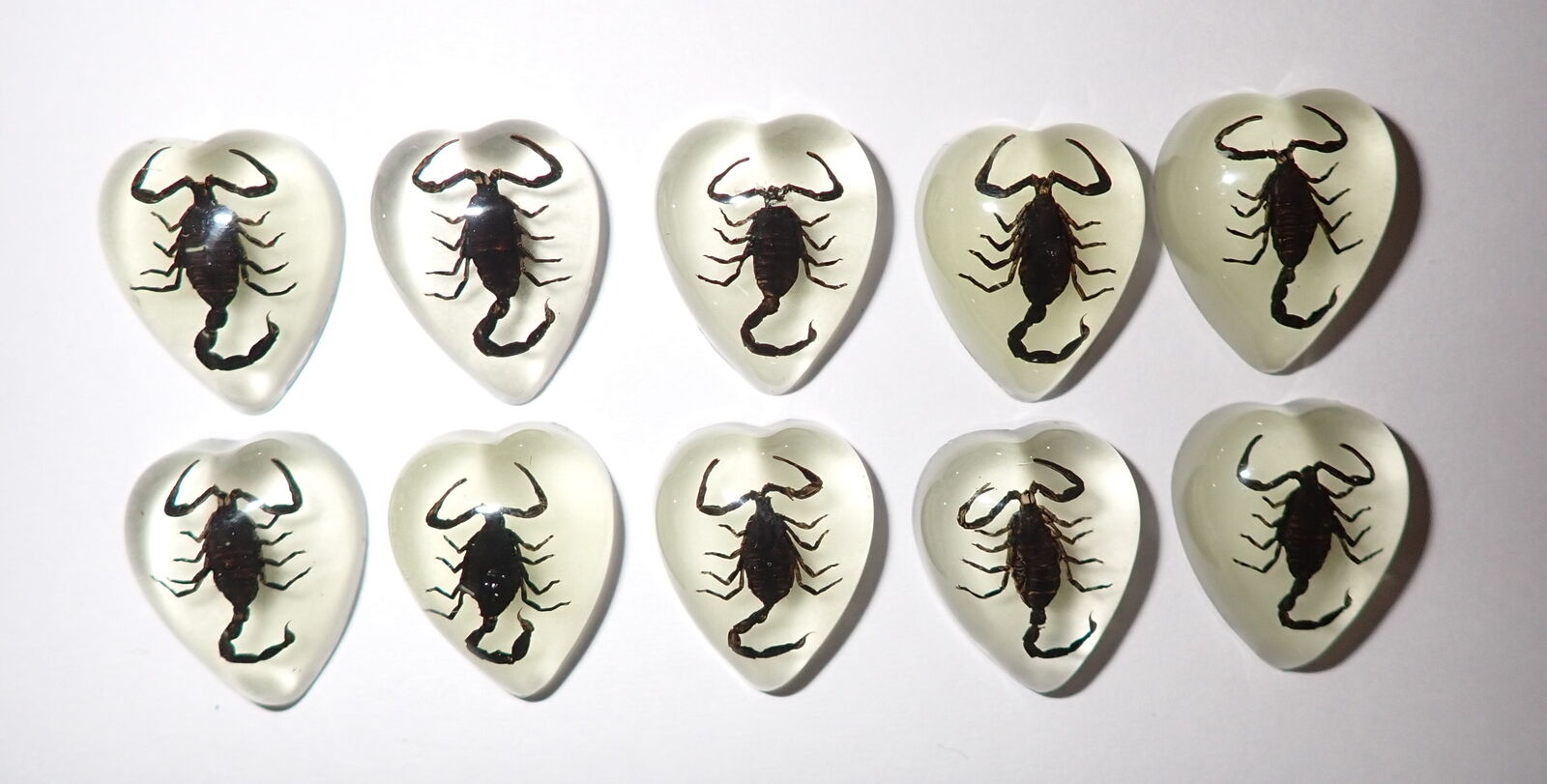 Insect Cabochon Black Scorpion Heart 17x21 mm Glow in the Dark 10 pieces Lot