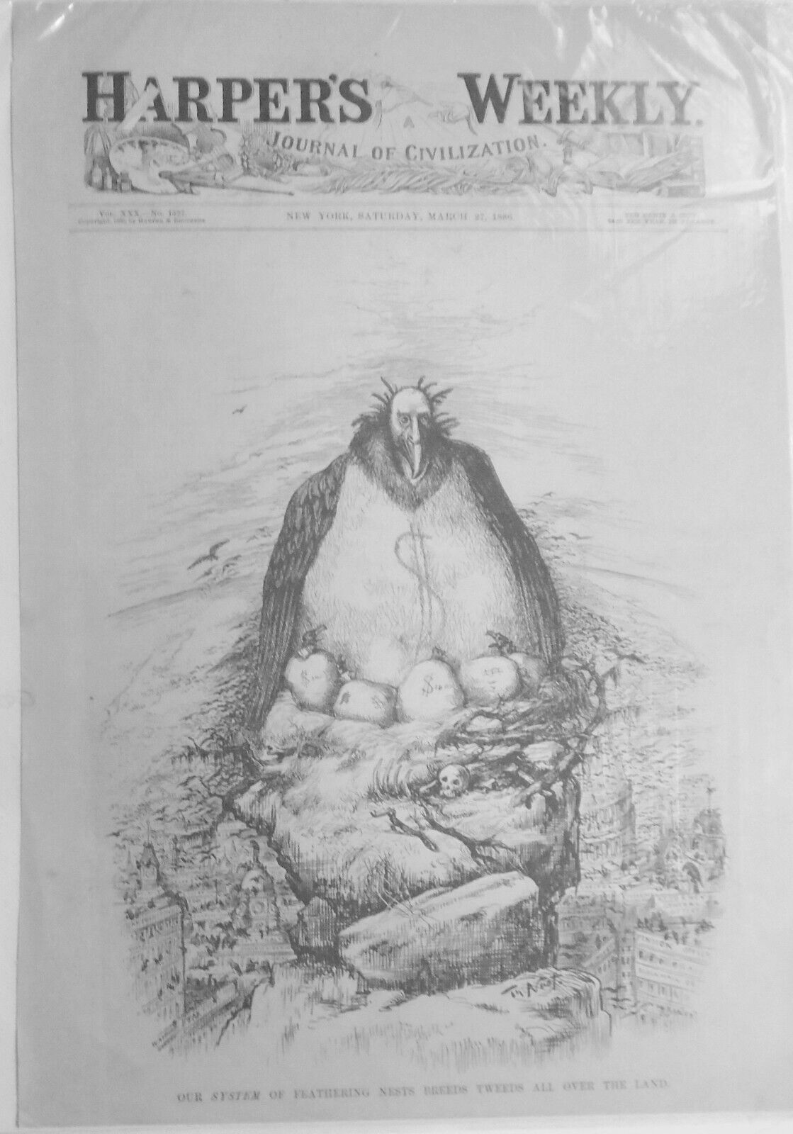 1886 Our System of Feathering Nests breeds Tweeds all over ...  by Thomas Nast