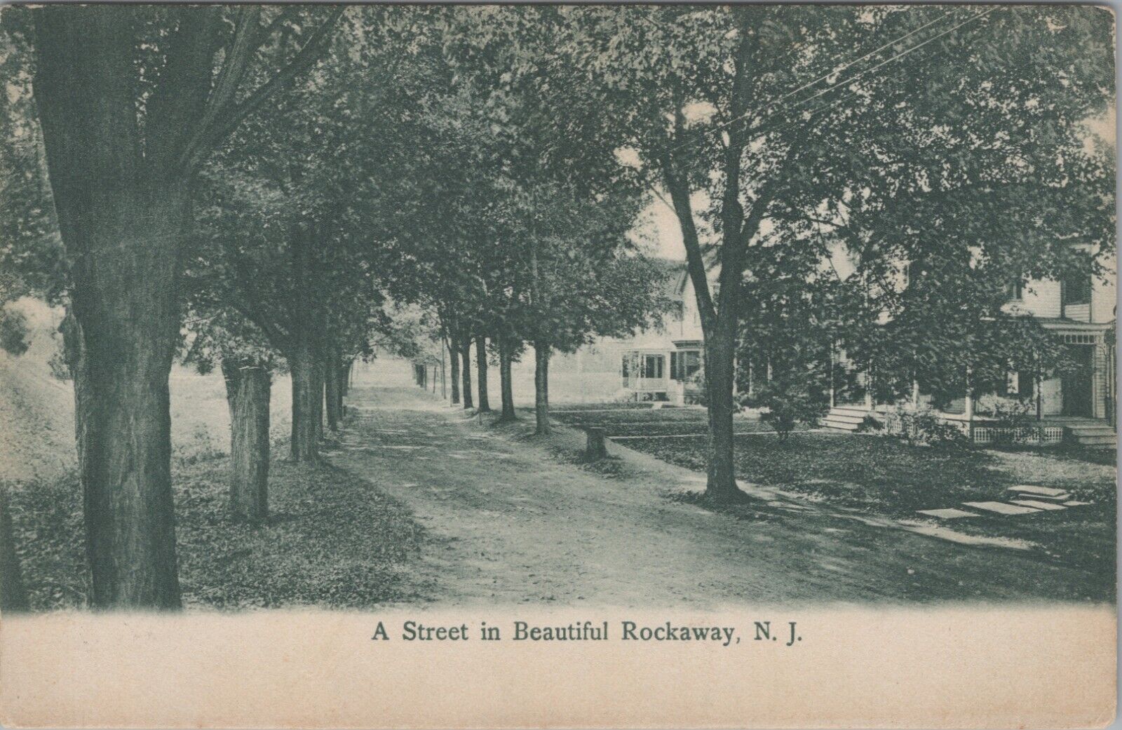 Rockaway NJ Residential Street New Jersey Trees 1905 Germany postcard G379